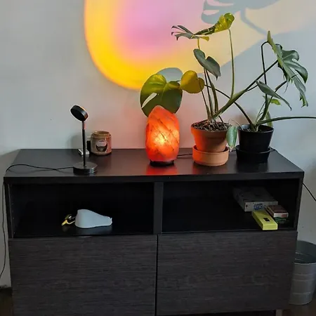 Urban Jungle Centre Apartament Wrocław